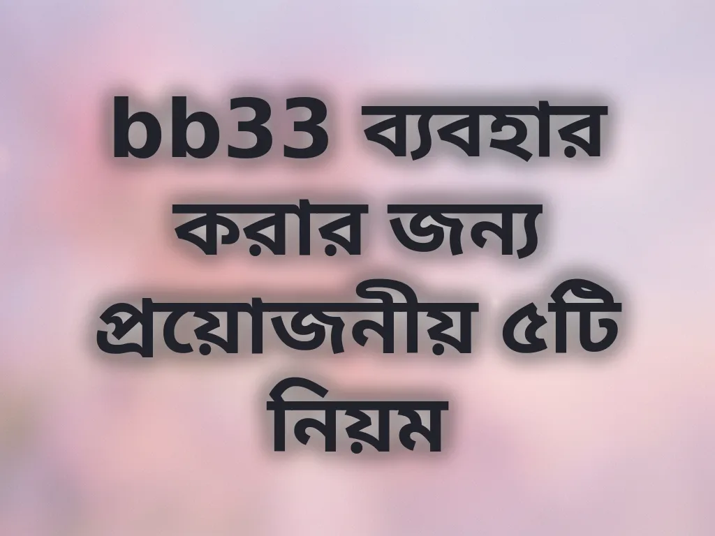 bb33 ব্যবহার করার জন্য প্রয়োজনীয় ৫টি নিয়ম